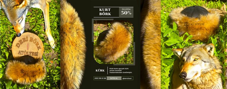 Kurt börk banner görseli