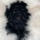 Stay Stylish and Warm: White Fox Fur Ushanka Women's Leather Hat - Derisitesi Stay Stylish and Warm: White Fox Fur Ushanka Women's Leather Hat - Derisitesi